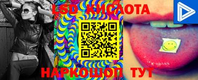 прущие крисы Абакан