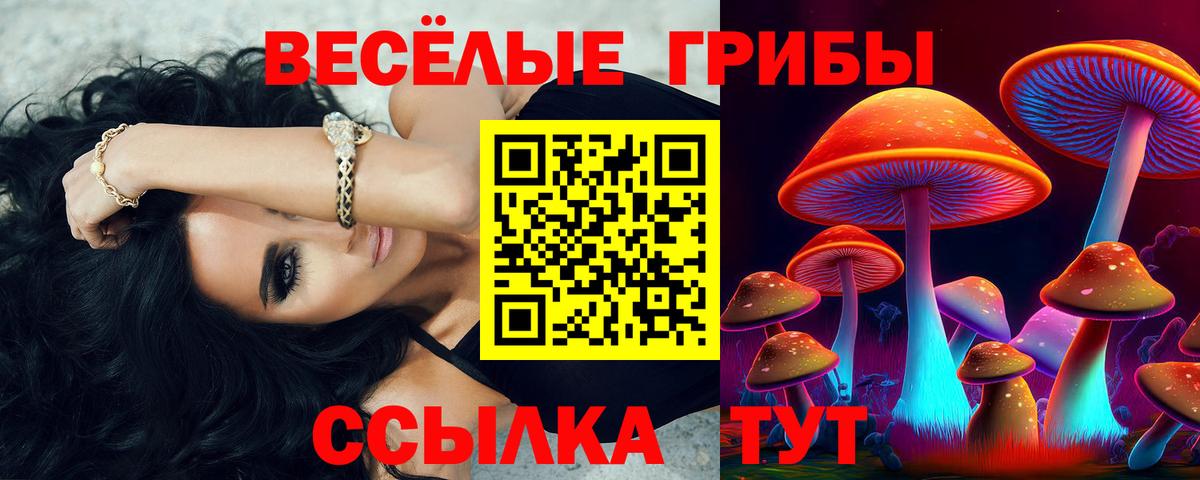 Галлюциногенные грибы ЛСД  Вход с VPN  Ангарск 